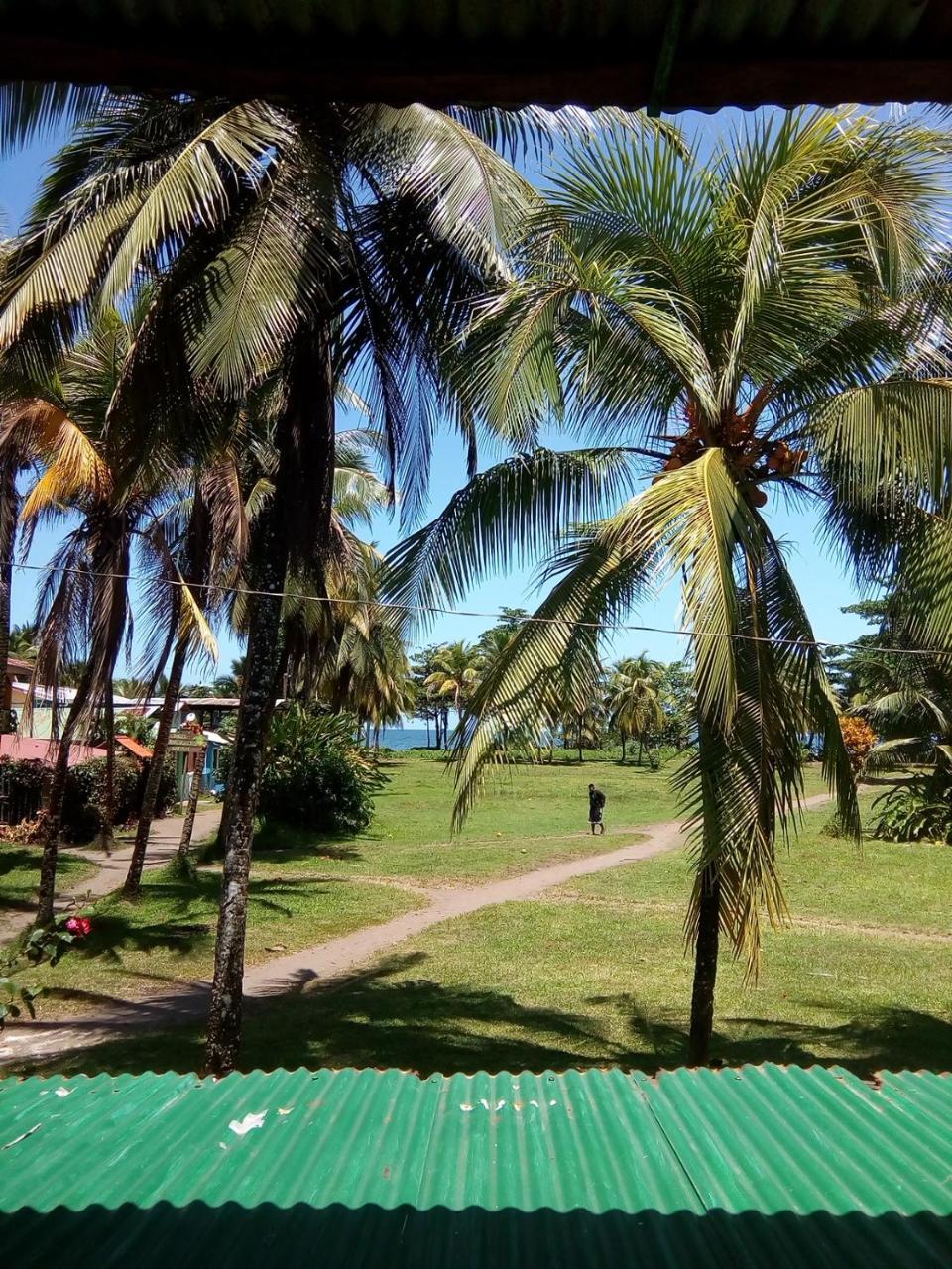 Hospedaje Meryscar Tortuguero Exterior foto